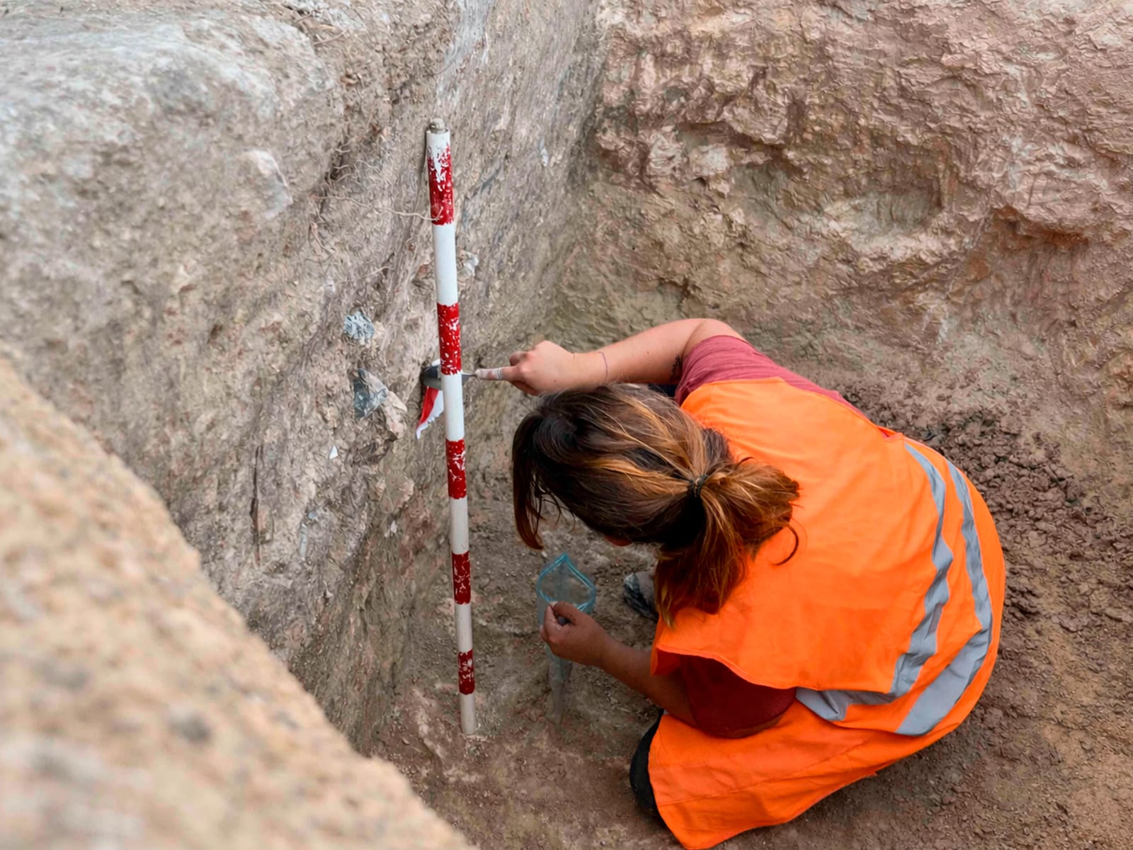 analisis muestras paleontologia