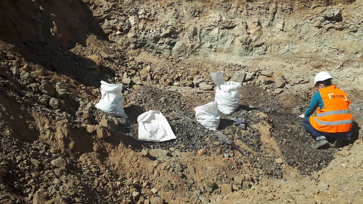 analisis sedimentario paleontologia