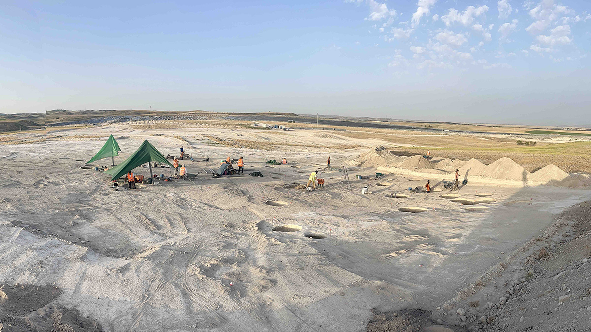 excavacion arqueologica en extension